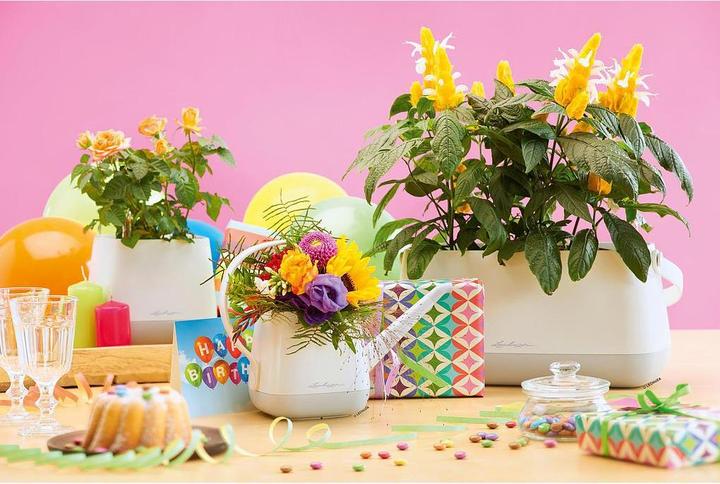 Produktbild Lechuza Yula (1.70 l)