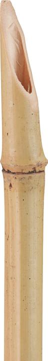 Actual product image Relaxdays 10x Garden Torch
