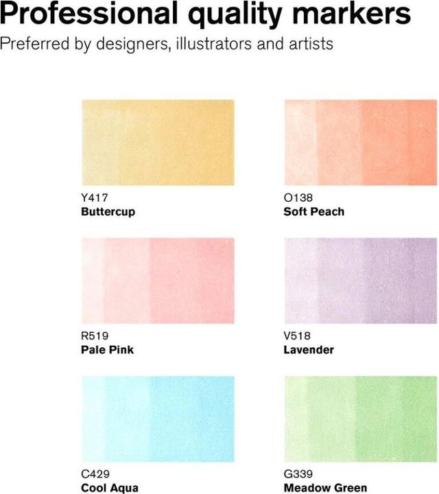 Actual product image Winsor & Newton 0290113 ProMarker, Professional Layout Marker - 2 tips, fine and wide for Zeic (6 x)