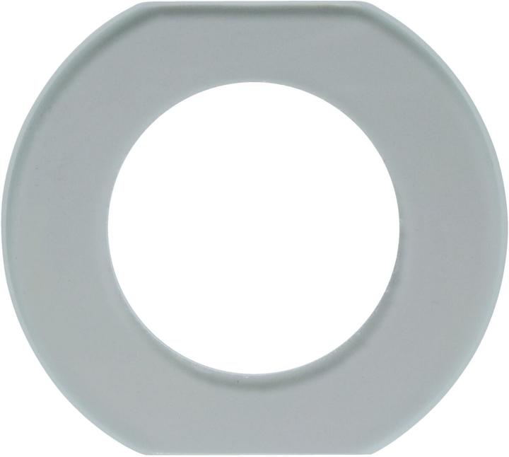 Actual product image Berker Glass center frame