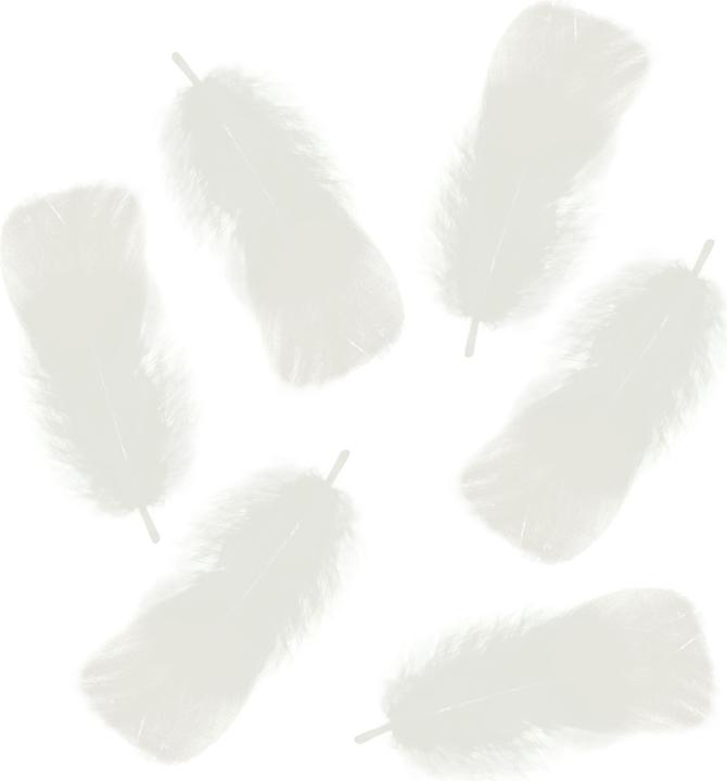 Produktbild Ursus Federn