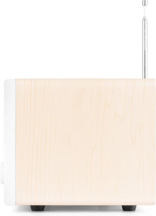 Produktbild Audizio Bari (DAB+, FM, Internetradio, Bluetooth, WLAN)