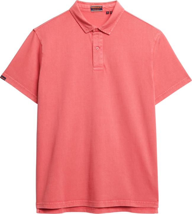 teaberry rot