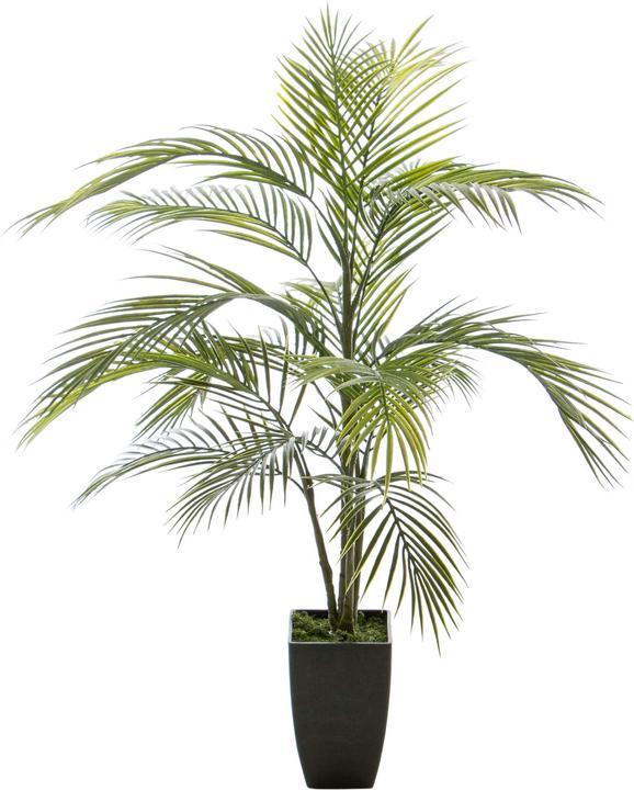 Luwatex Areca Palme (90 cm)