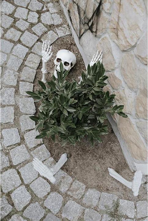 Actual product image Partydeco Halloweenfigur Skelett 5-teilig (1 pcs.)