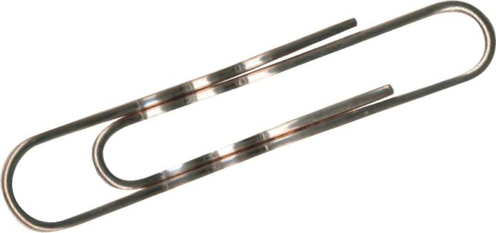 Durable Aktenklammern (100x)