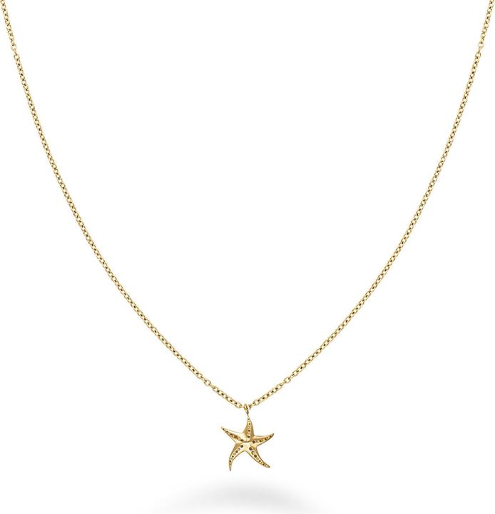 Produktbild Rosefield Gold Plated Starfish Necklace Essentials JNSNG-J830