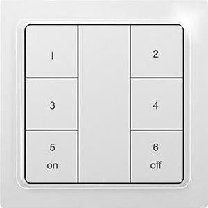Actual product image Eltako F6T55EB-Keypad-am