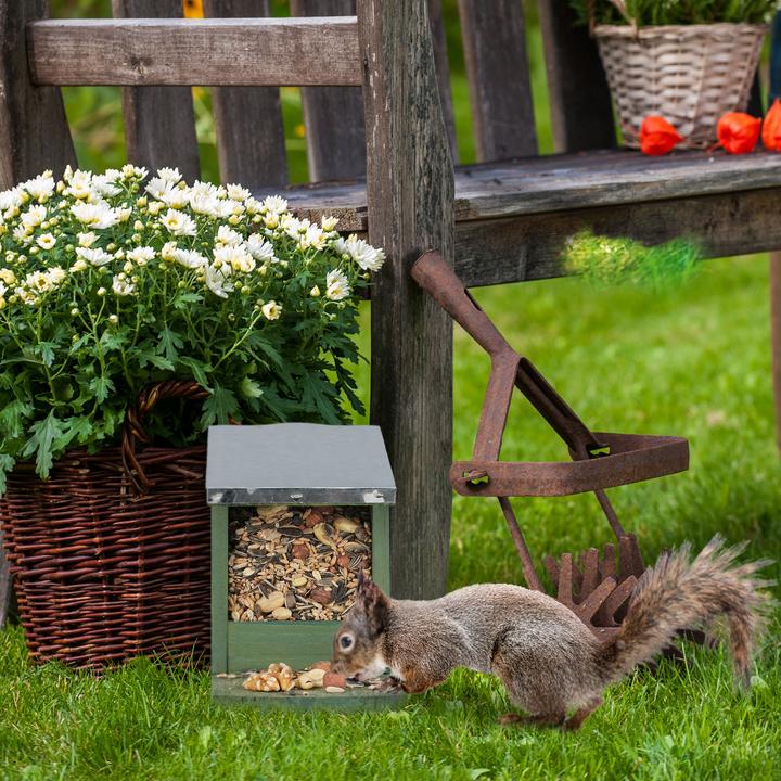 Produktbild Relaxdays Eichhörnchen Futterhaus