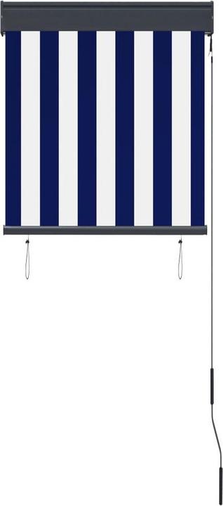 Produktbild vidaXL Aussenrollo (60 x 250 cm)