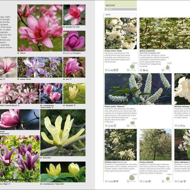 Immagine prodotto RHS Encyclopedia Of Plants And Flowers (Inglese, Christopher Brickell, 2019)