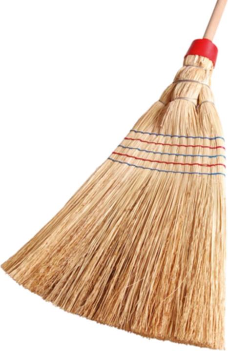 Produktbild Edi Clean Reisbesen