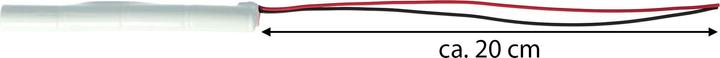 Produktbild AccuCell Notleuchtenakku L1x4 Lady N mit 200mm Kabel (1 Stk., N, 500 mAh, Akku)
