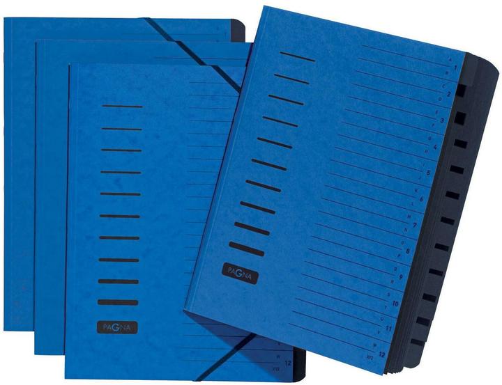 Image du produit Pagna Dossier de classement avec élastique A4 (A4, 1x)