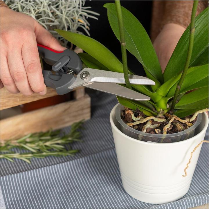 Produktbild Kuhn Rikon Profi-Küchenschere (24 cm)