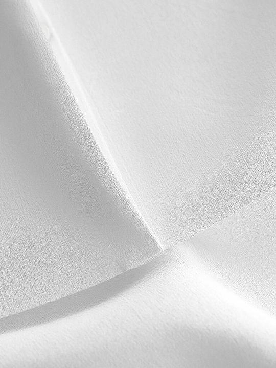 Immagine prodotto Joop! Begonia (40)