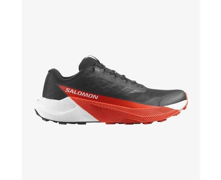 Produktbild Salomon Pulsar Schwarz (42)