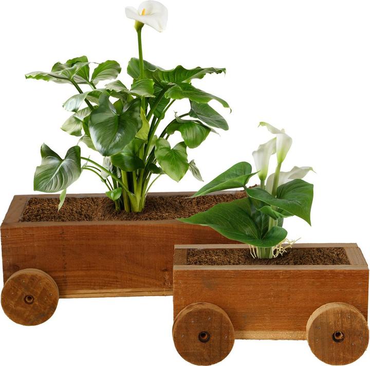 Produktbild Natura Punto 2er-Set Holz Pflanzentöpfe mit Rädern, 2 verschiedene Grössen (14 cm)
