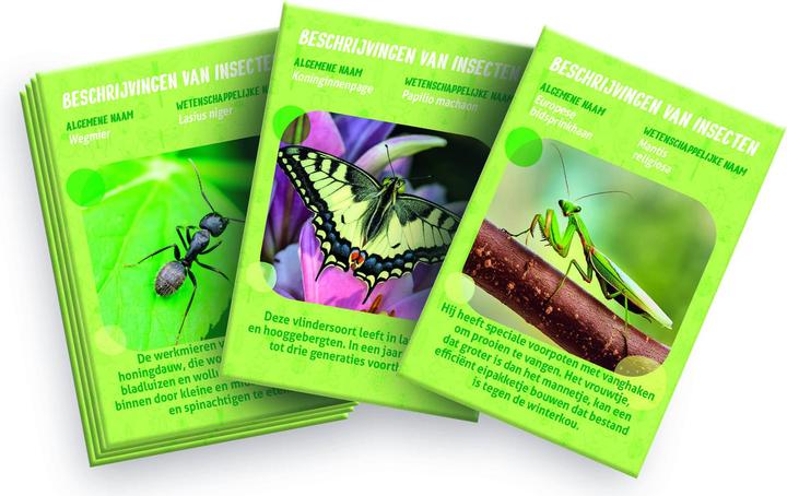 Actual product image Clementoni Insect hotel
