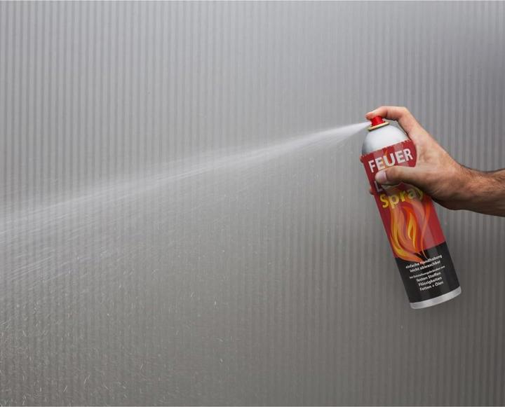 Produktbild Smartwares FS600DE Feuerloeschspray Fettbrand DE (A, B)