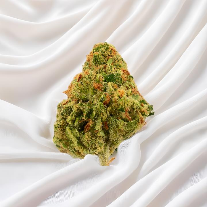 Image du produit Green Passion Amnesia Haze Popcorn (10 g, Intérieur)