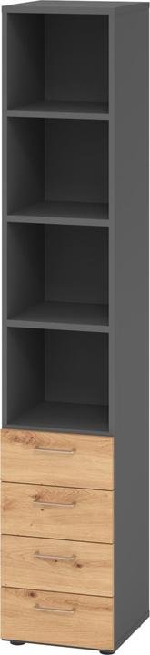 Graphite, Knot oak