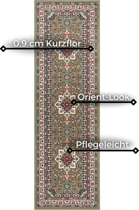 Image du produit Hanse Home Parun Tabriz (250 x 80 cm)