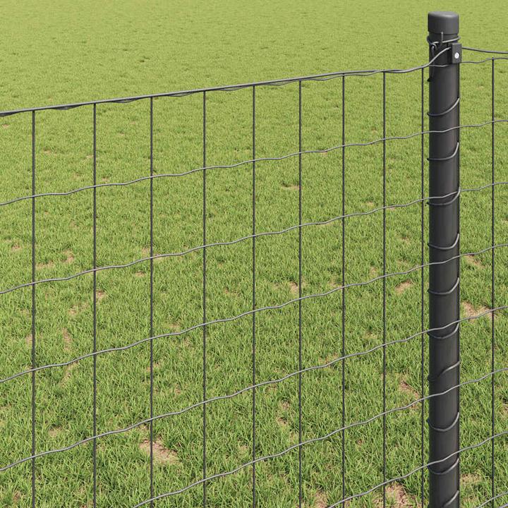 Produktbild vidaXL Eurozaun