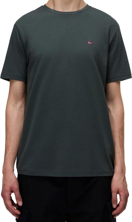 Actual product image Napapijri T-Shirt SALIS Kurzarmshirt (M, XS)