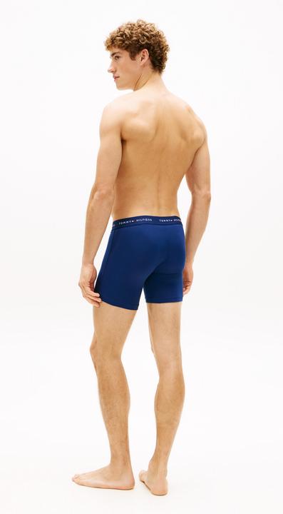 Immagine prodotto Tommy Hilfiger 3p Boxer Brief Dtm (M, confezione da 3)