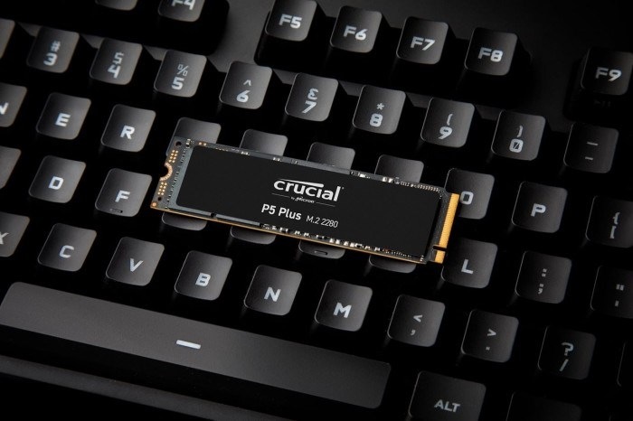 Produktbild Crucial P5 Plus (1000 GB, M.2 2280)