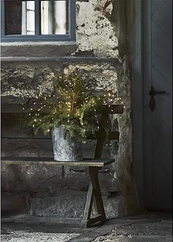 Produktbild Star Trading Decorativer Baum Reedy