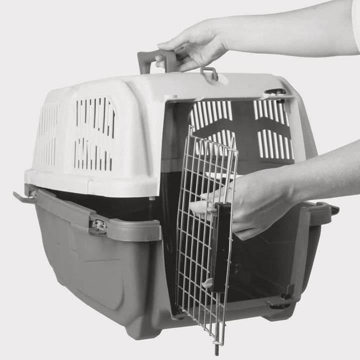 Actual product image Trixie Transport box Skudo 1, XS (Dog, Lockable)