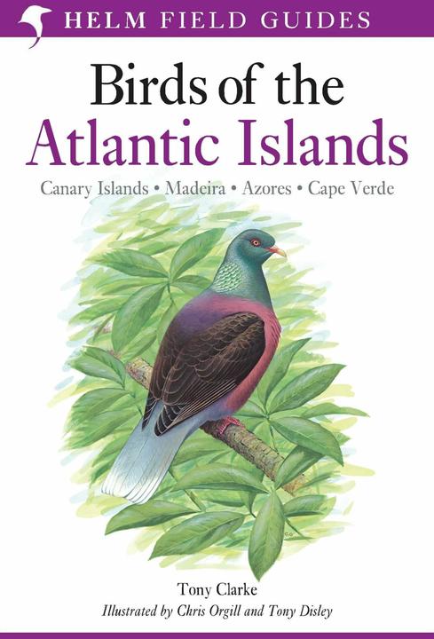 Produktbild A Field Guide to the Birds of the Atlantic Islands (Englisch, Chris Orgill, Disley Tony, Tony Clarke, 2006)