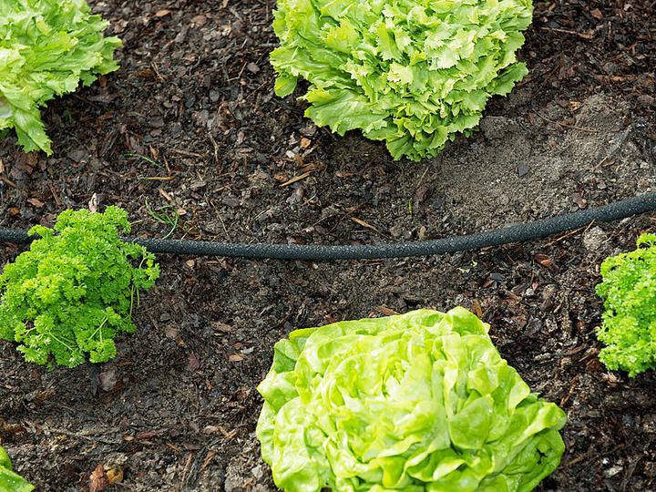 Immagine prodotto Royal Gardineer Tubo Perl incl. raccordi ad innesto rapido (12 m)