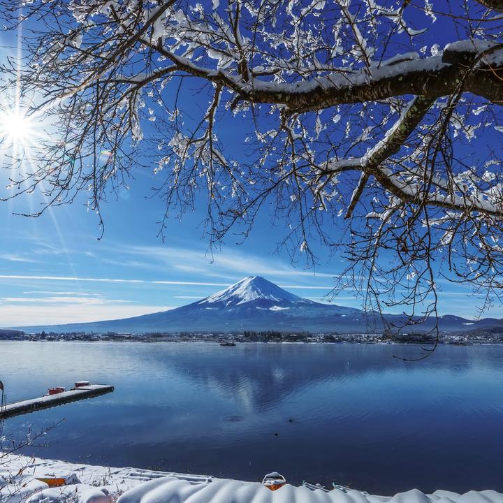 Actual product image Inside Japan 2026 (30 x 30 cm)