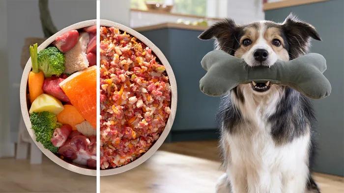 Actual product image Bosch Hausgeräte MFWS607W