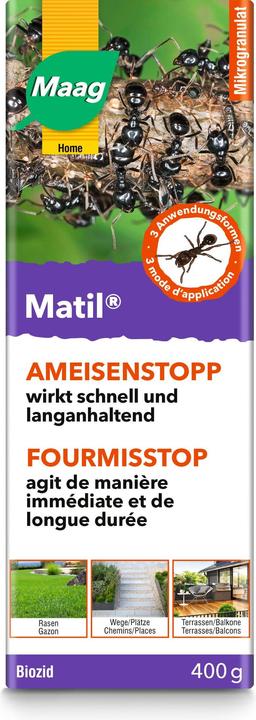 Maag Fourmilière