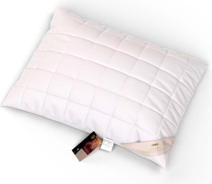 Image du produit Erzstef Objecta Oreiller cuit (50 x 70 cm)