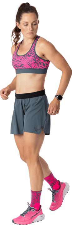 Image du produit Dynafit Alpine Graphic (M)