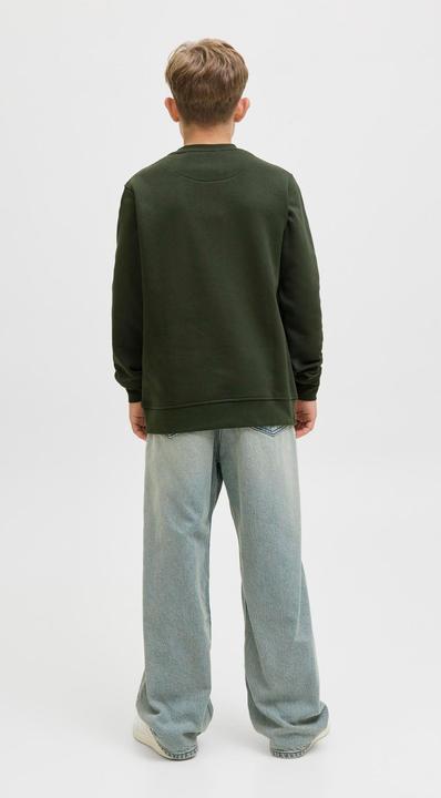 Produktbild Jack & Jones Sweatshirt Junior Sweatshirt (164)