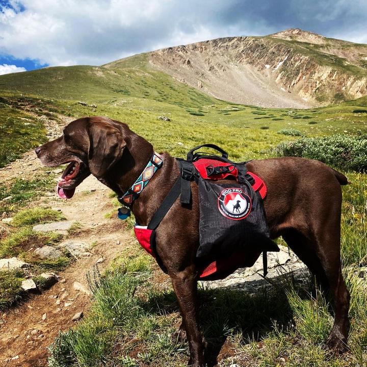 Immagine prodotto Fido Pro Zaino per cani Saddle Dry Bags (Cappotto per cani)