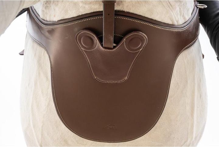 Image du produit HFI Master Sangle bavette d'équitation avec aimants