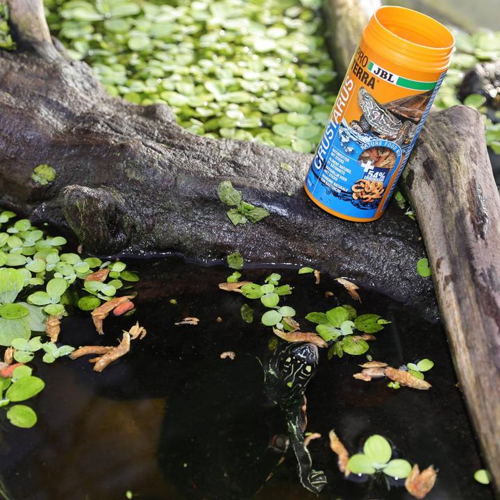 Actual product image JBL Aquaristik und Terraristik Proterra Crustarus, 2.5l (1 x, 0.60 kg)