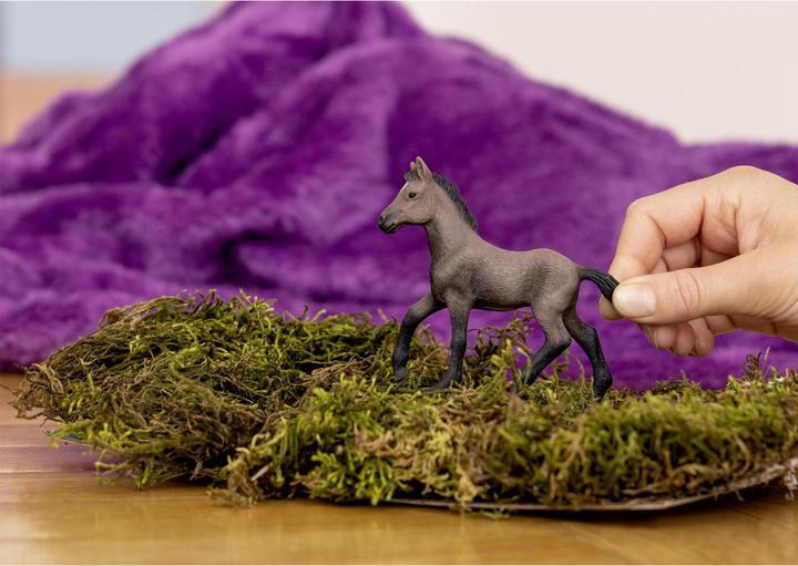 Image du produit Schleich Poulain Paso Peruano