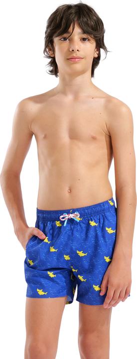 Image du produit Arena B Beach Boxer Allover (152)