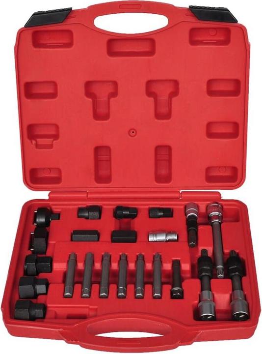 Actual product image vidaXL Lichtmaschinen-Bitsatz (22 pieces)