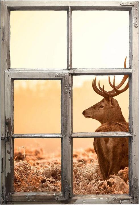 Image du produit Trenddeko Fenêtre 3D Shabby - Cerf majestueux (68 x 100 cm)