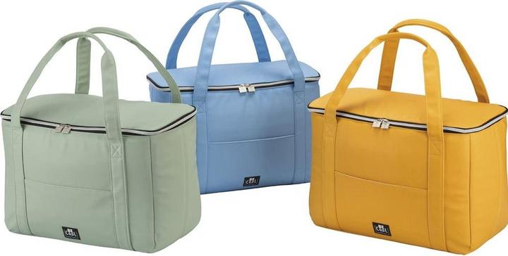 Actual product image BeCool Ice pack (28 l)