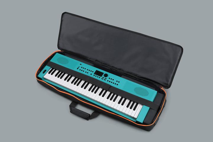 Image du produit Roland CB-V61 Bag (Clavier)